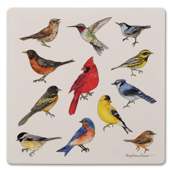 CounterArt/Highland Home/Thirstystone/CoasterStone - Venta al por mayor Salvamanteles - Trébede de cerámica "Estudio de aves" cuadrada de 8 pulgadas