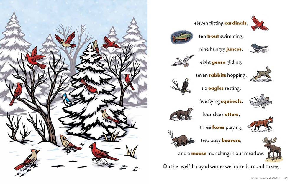 REMOVED BRAND - Wholesale Nature & Outdoors - Twelve Days of Winter: A Wildlife Celebration4