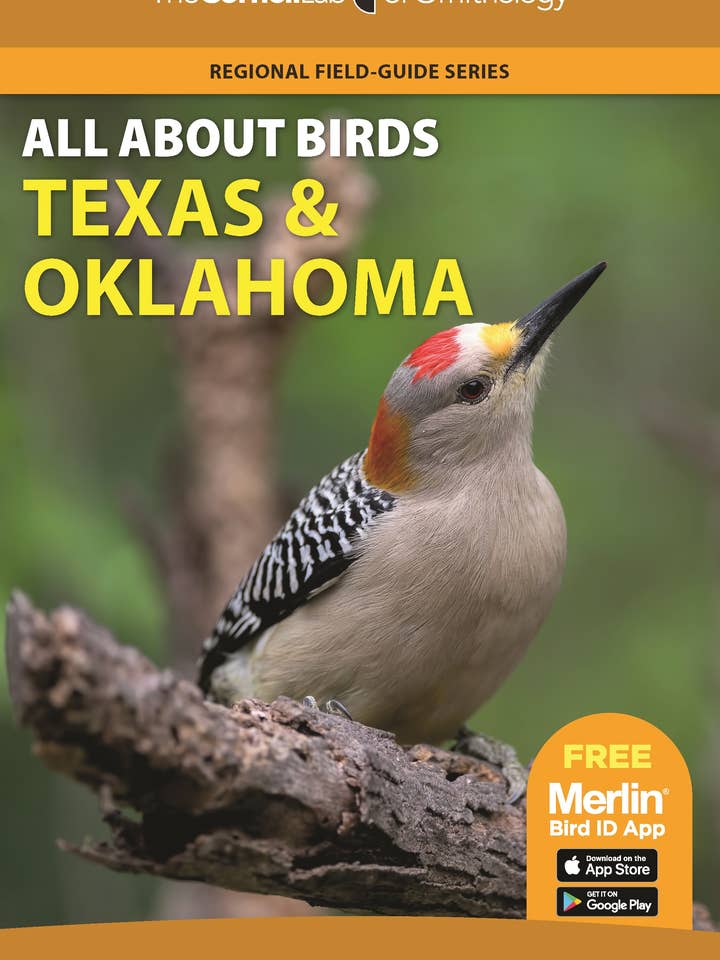 All About Birds: Texas & Oklahoma for wholesale by Texas Bookman