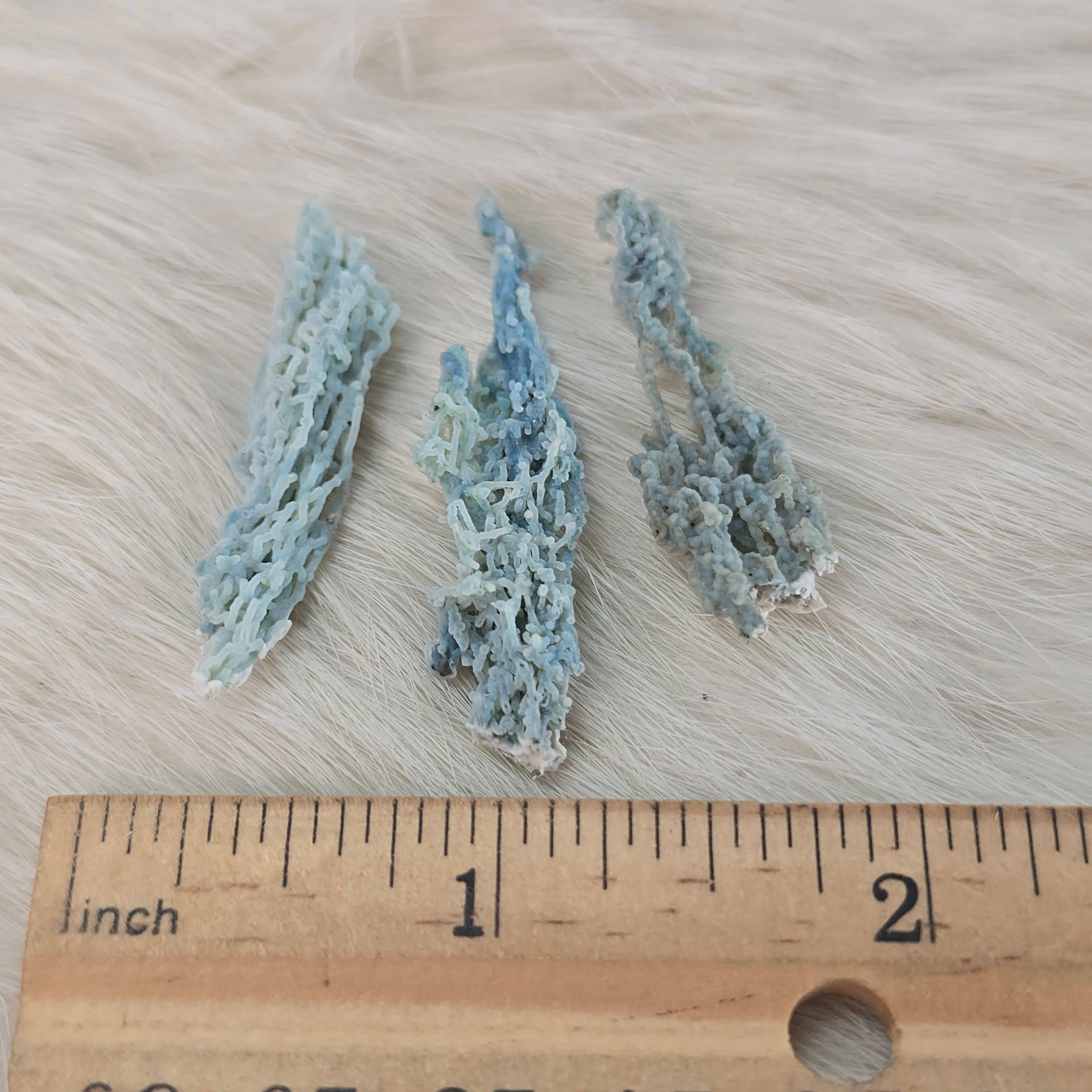 Aquamarine Daydream Wholesale - Wholesale Spiritual Stone/Crystal - 3pc Blue Chalcedony Stalactite ~ Bulk Mineral Specimens1