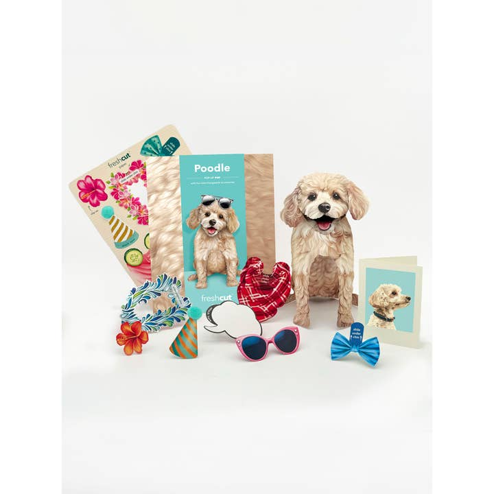 FreshCut Paper LLC - Wholesale Everyday Greeting Card - Poodle (6 Pop-up Greeting Cards)