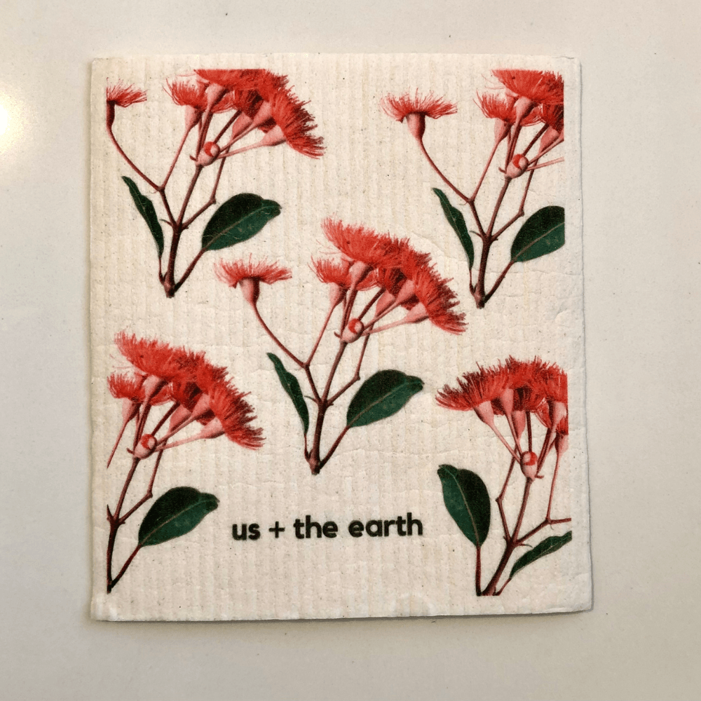 Us and The Earth - Wholesale Dishcloth - Washable Swedish Sponges - Set of 510