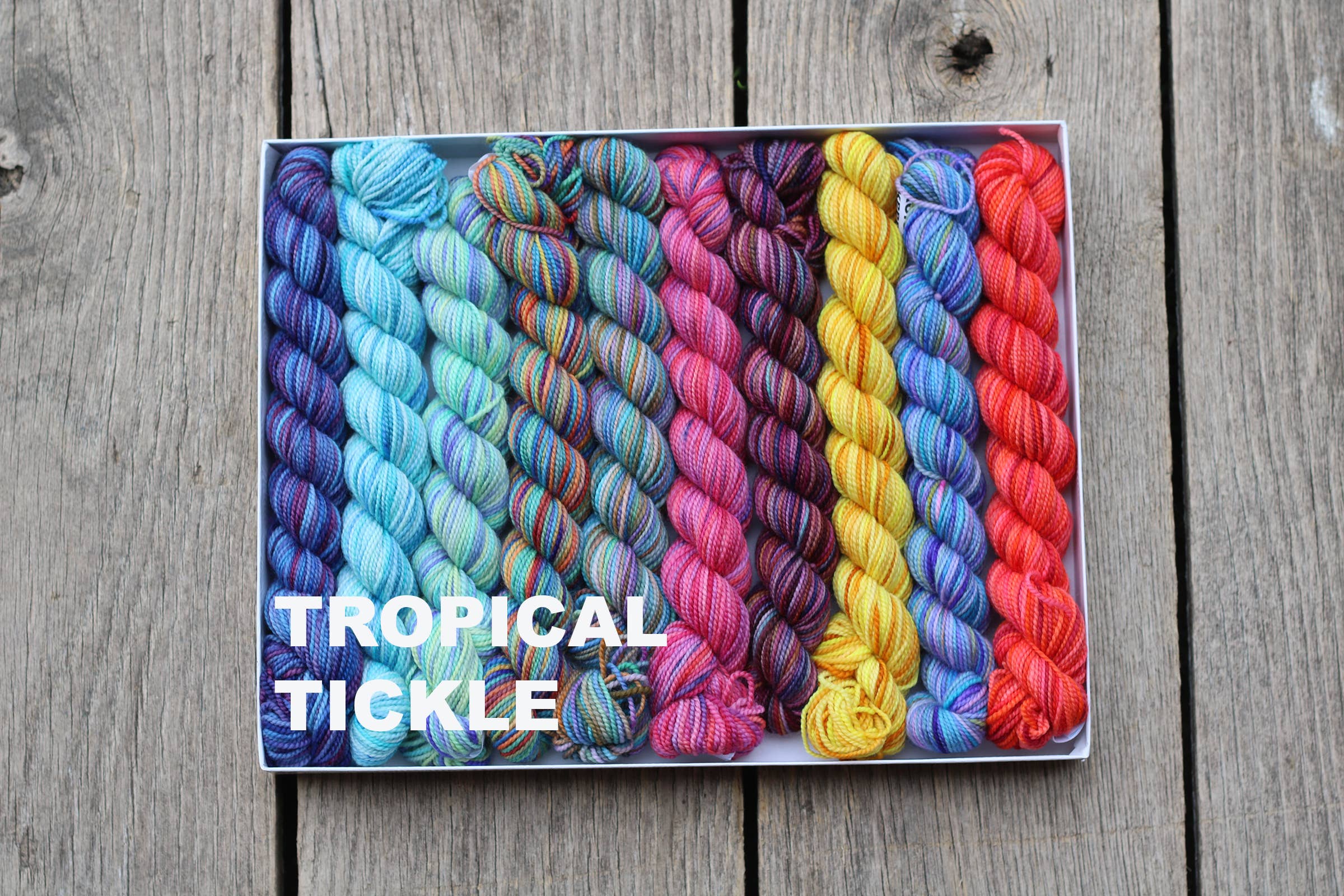 Koigu Wool Designs - Vente Fils à tricoter - Coffret de laine Koigu Pencil Box groupe 126