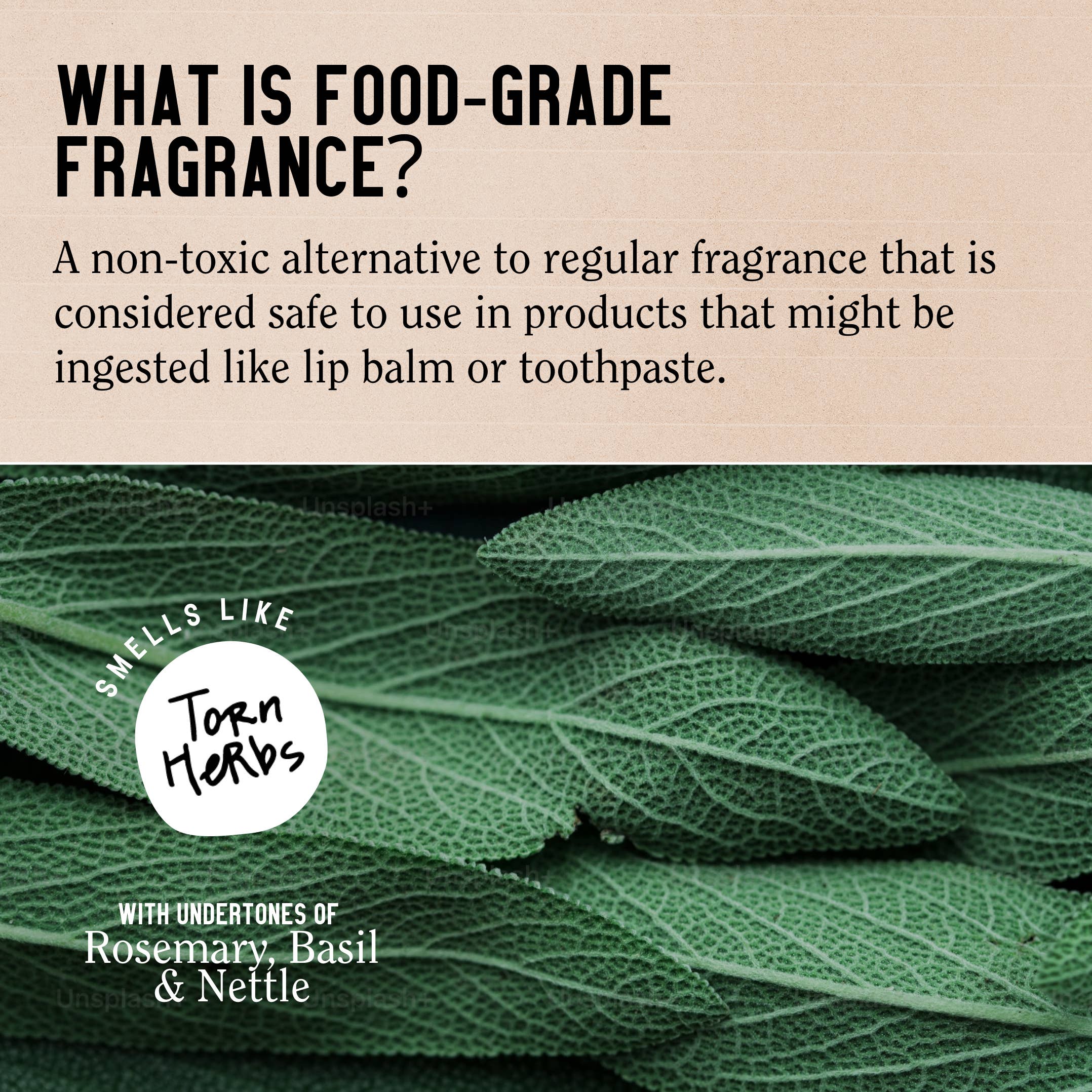 California Naturals - Wholesale Hair Shampoo - Men's - Mens Re:GRO Anti-Thinning Shampoo7