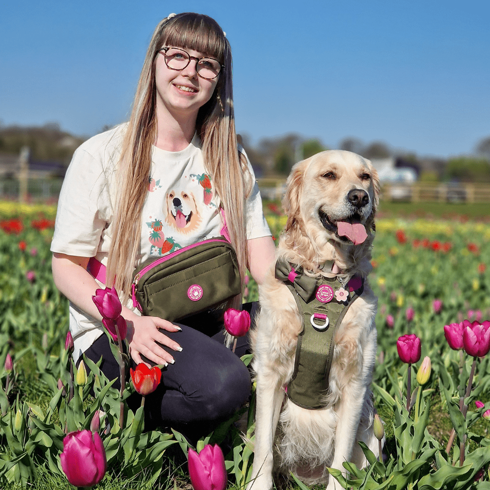 Bailey and Coco - Wholesale Belt Bag - Women's - Magnetic Snap Dog Walking Bum Bag - Olive it Hot1