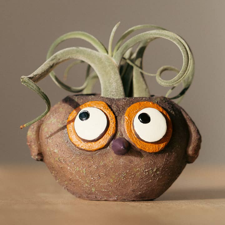 Baby Brown Owl - Owen - Mini Blobhouse Planter for wholesale by Cohasset Gifts