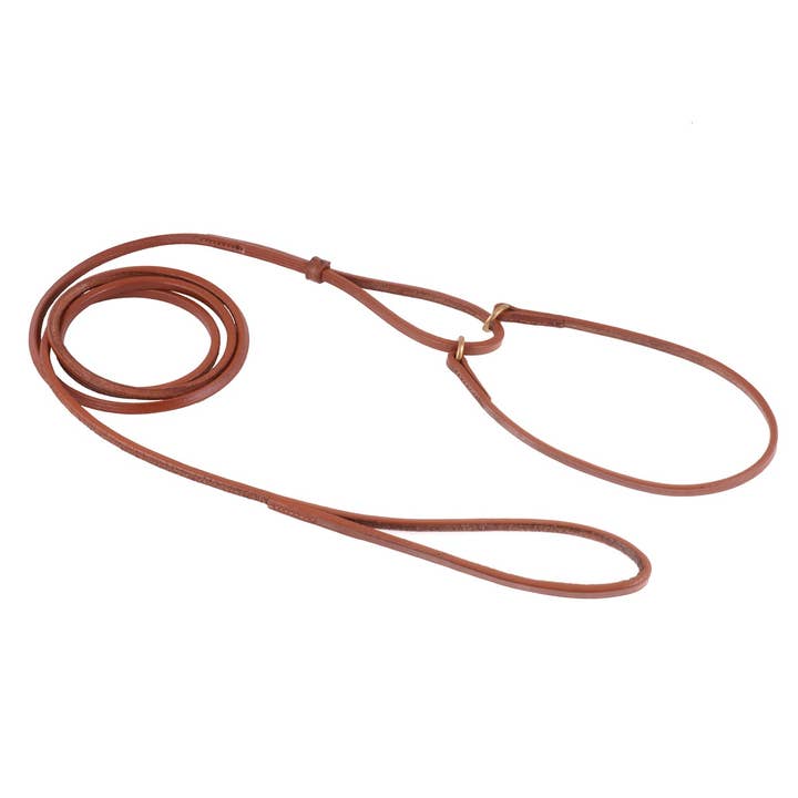 Flat Leather Martingale Leads for wholesale by Alvalley