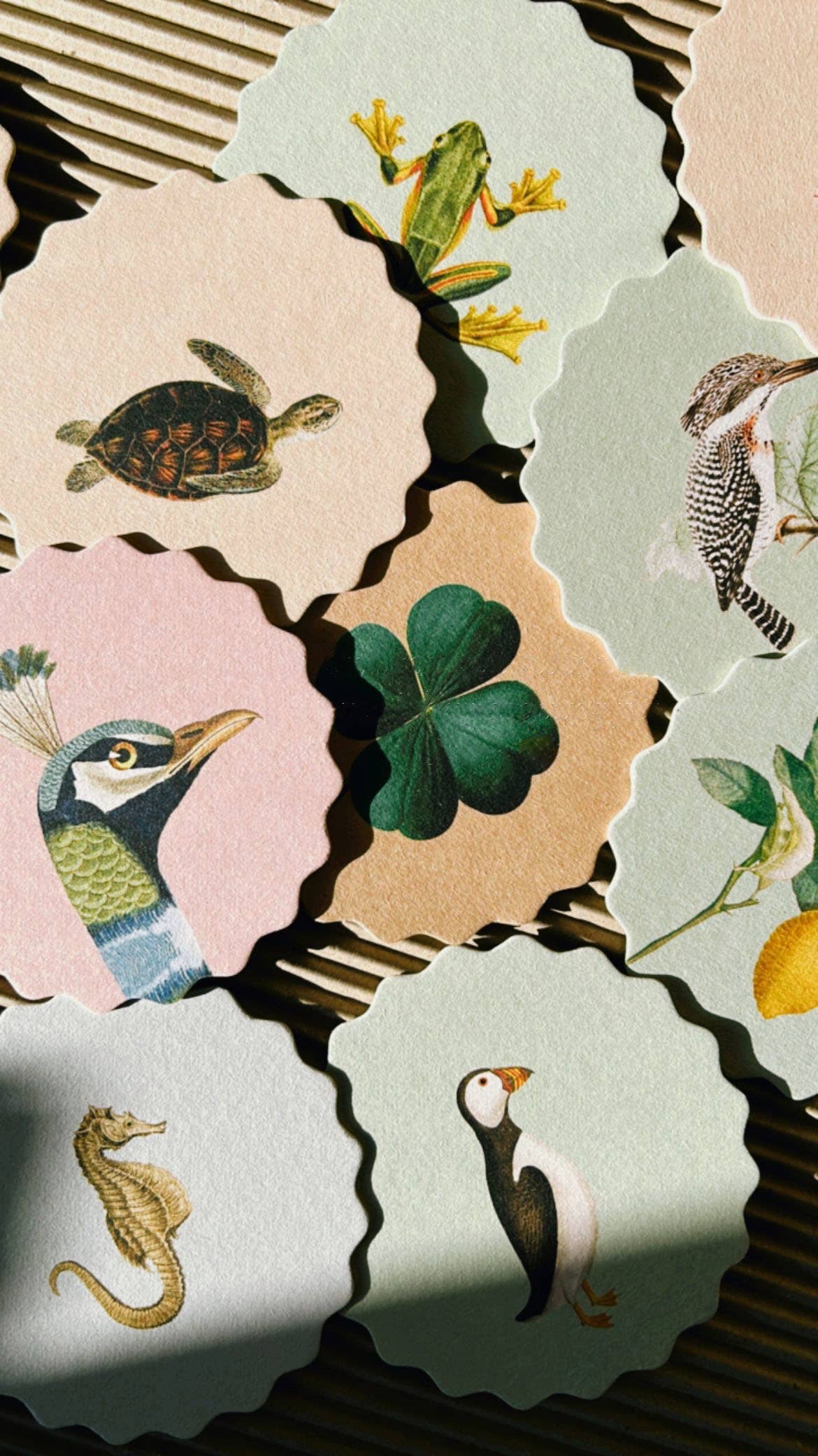 30x40 - Wholesale Coasters - Coaster Set Good Vibes 🍀🐓🐢 UPDATE - New Designs8