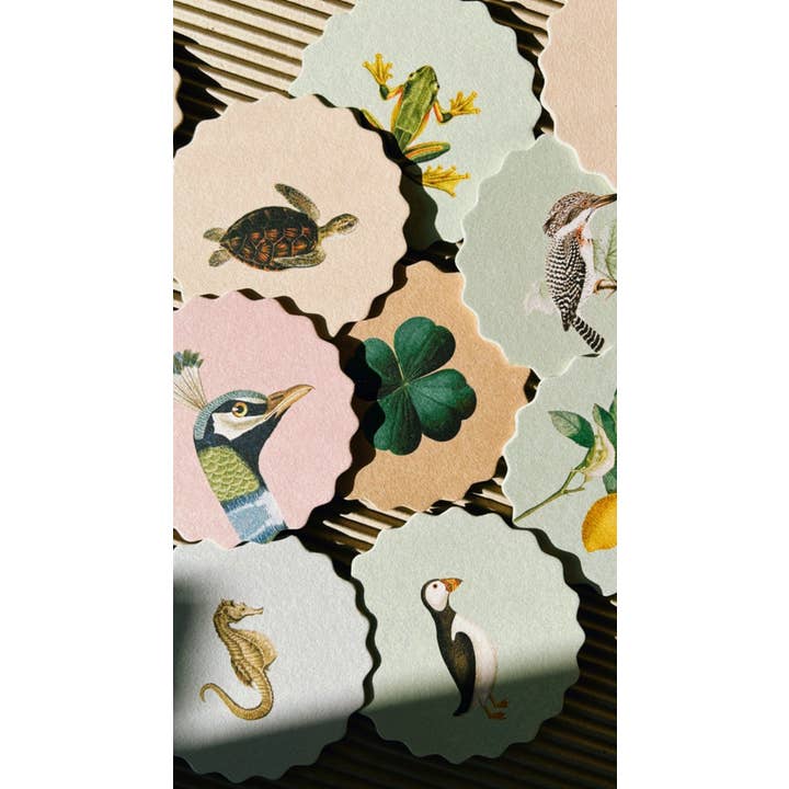 30x40 - Wholesale Coasters - Coaster Set Good Vibes 🍀🐓🐢 UPDATE - New Designs8