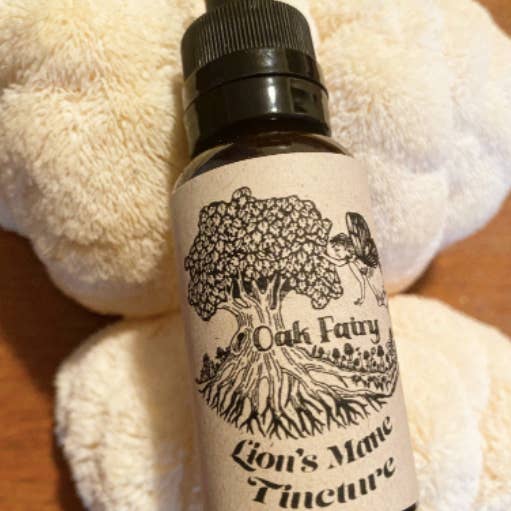 Lion's Mane Tincture for wholesale by Oak Fairy Apothecary