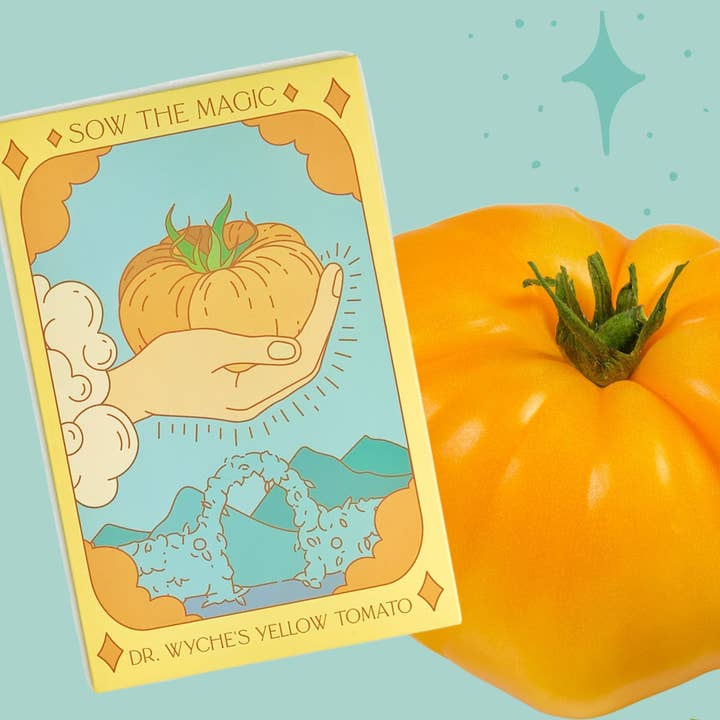 Sow the Magic - Wholesale Plant Seeds - Dr. Wyche's Yellow Tomato Tarot Garden + Gift Seed Packet