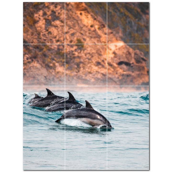 Dolphin keramiske fliser keramiske fliser vægmaleri PT500529 for engroshandel hos Picture-Tiles.com