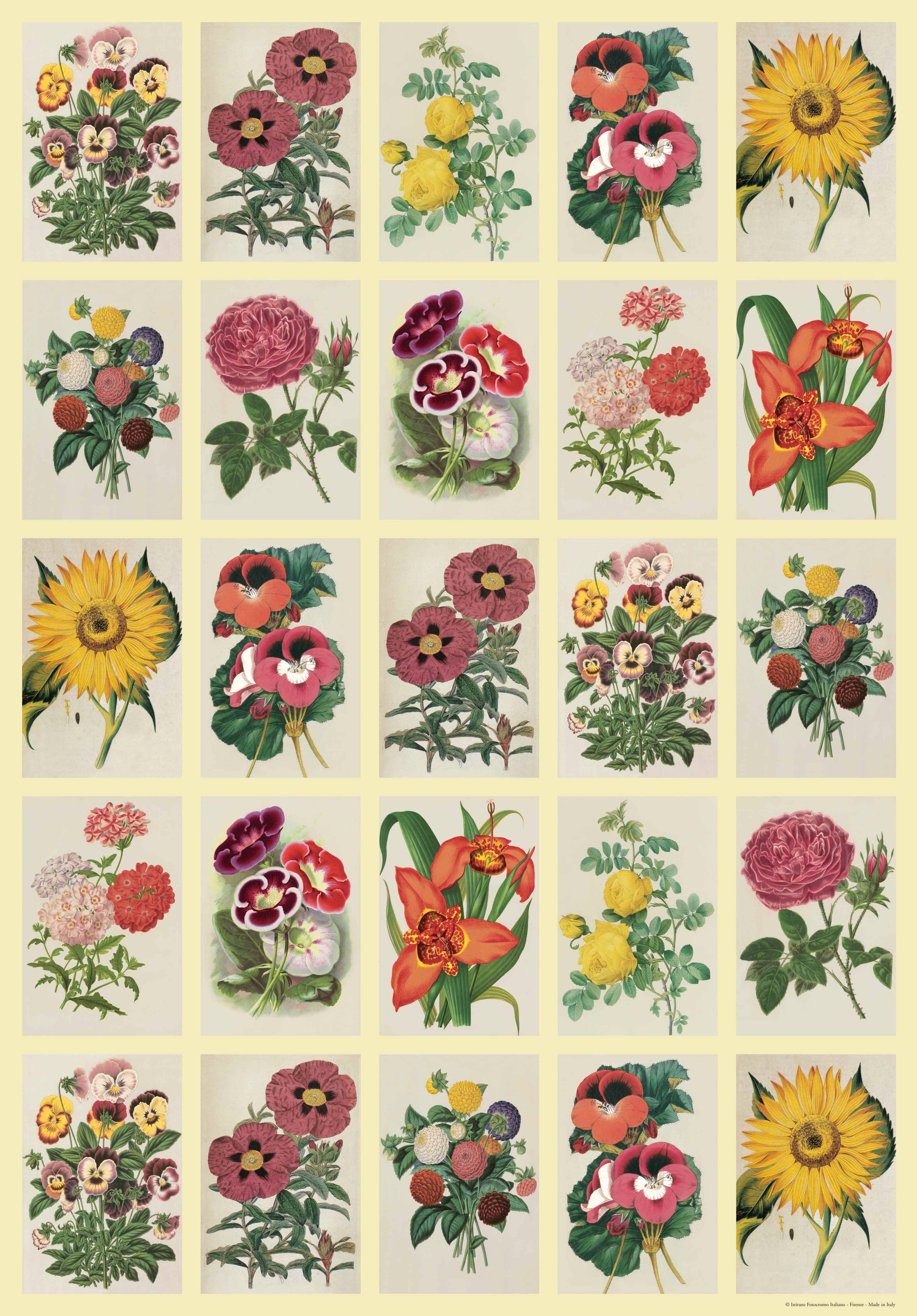 San Lorenzo Design - Wholesale Poster - Vintage Art Posters, Instituto Fotochromo Italiano, Classic56