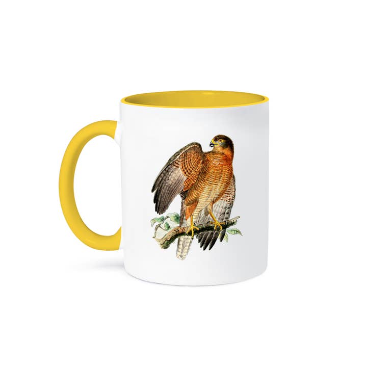 3dRose - Wholesale Coffee Mug - 3dRose, Brown Goshawk Bird of Prey Vintage Art - Predator Hawk Raptor Birds, Mug