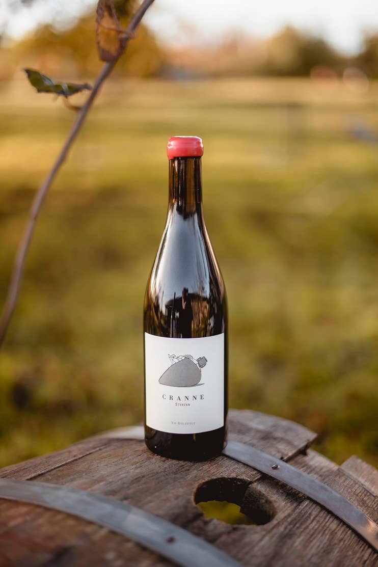 Château de Cranne – Großhandel Rotwein – Grand Organic Rotwein Amphore 2022 „CRANNE Sterenn“2