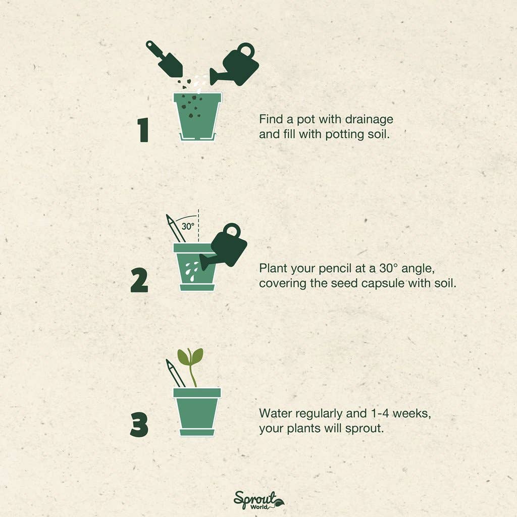 SproutWorld - Wholesale Pencil - SproutWorld Plantable Pencils | Happy Bee · 5 Pack5