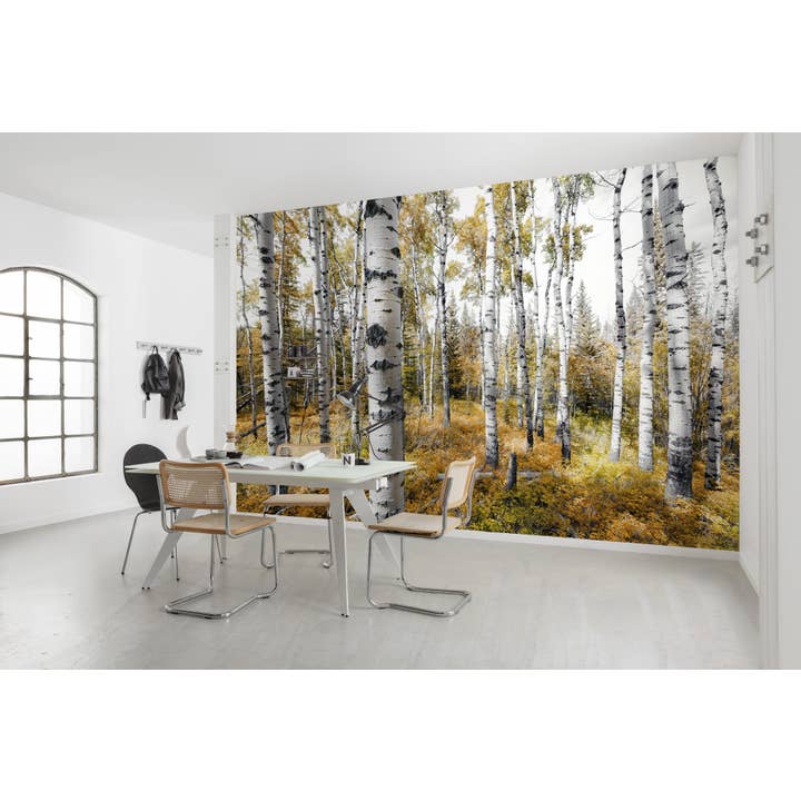Papier peint photo polaire - Aspenwoods coloré - format 450 x 280 cm pour la vente par Komar Products GmbH & Co. KG