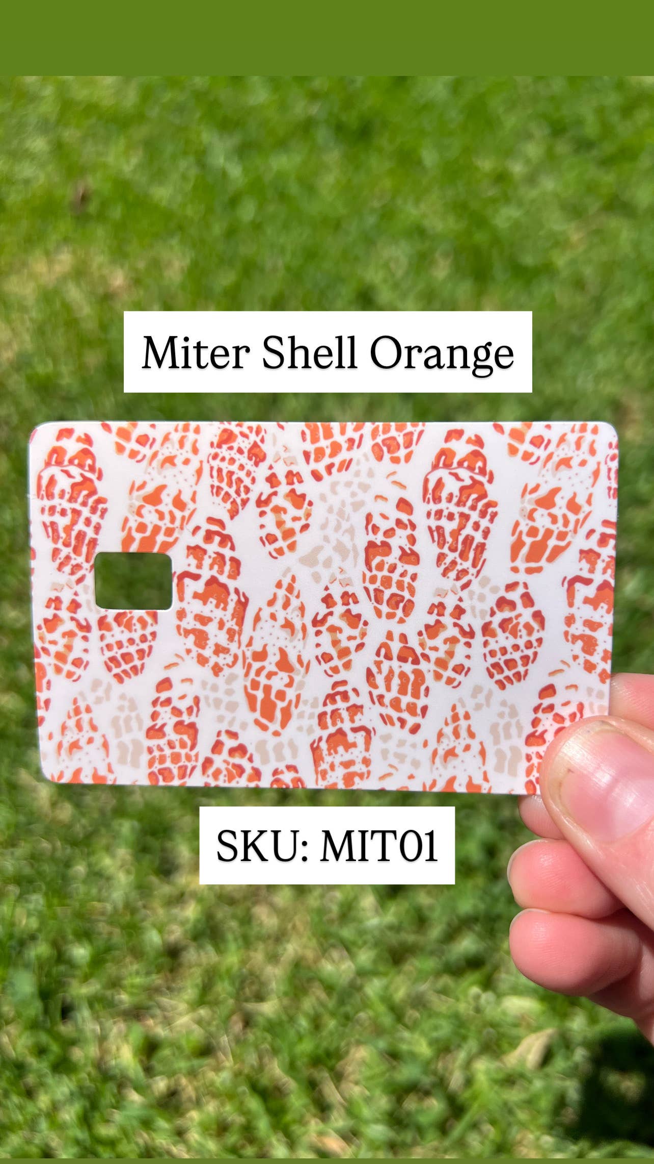 Shelloha Treasures - Wholesale Phone & Laptop Stickers - Card Skins - Miter Shell Options0