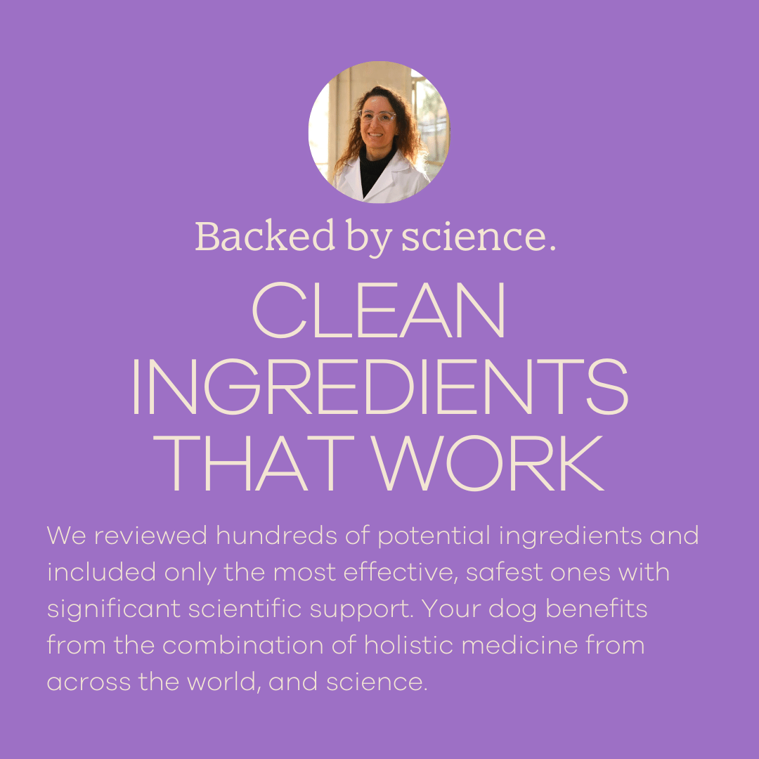 Yumwoof Natural Pet Food - Wholesale Pet Supplement - Dog - Perfect Probiotics2