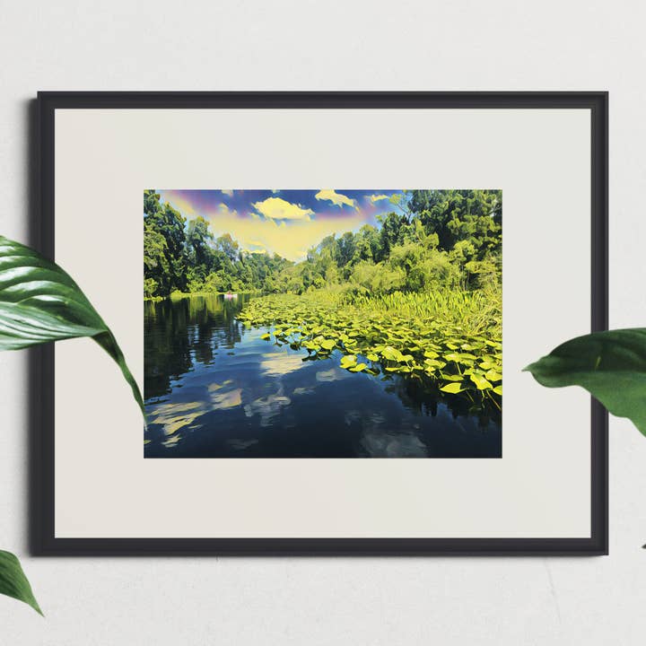 Florida Springs for wholesale by Tilley Wynn