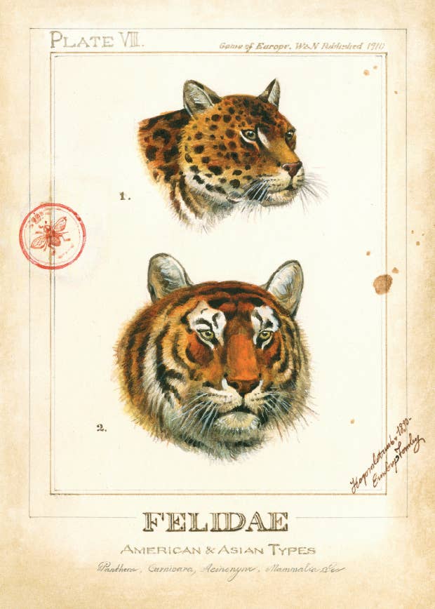 Bomo Art Budapest - Wholesale Everyday Greeting Card - Greeting Card + Envelope15