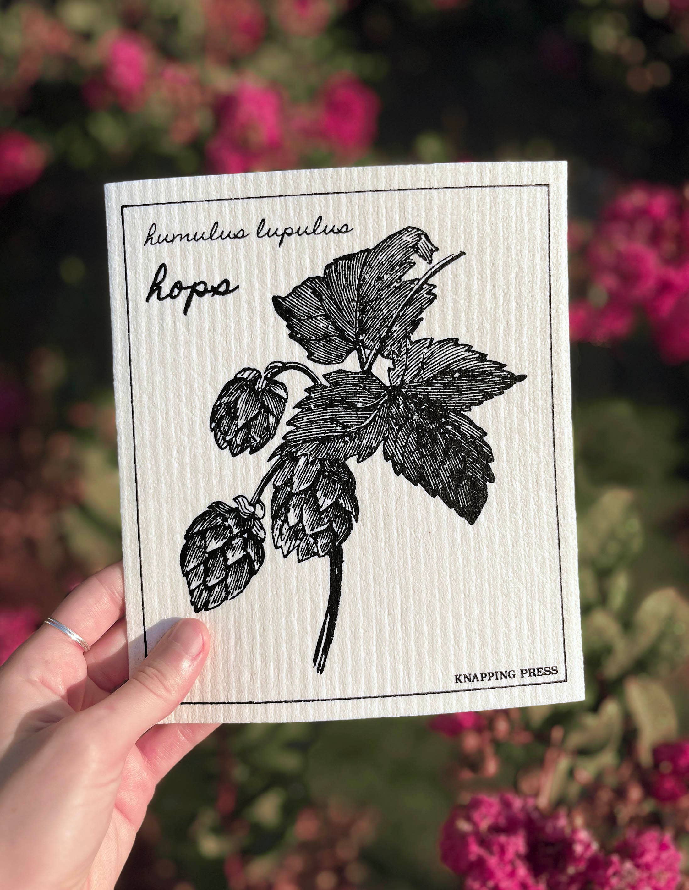 Knapping Press - Wholesale Cleaning Cloth - Swedish Dishcloth - Hops1