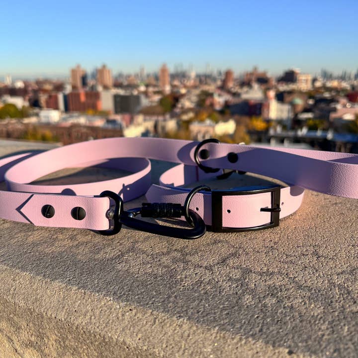 What a Cutie - Wholesale Pet Collar - Dog - Dog Walk Gift Set1