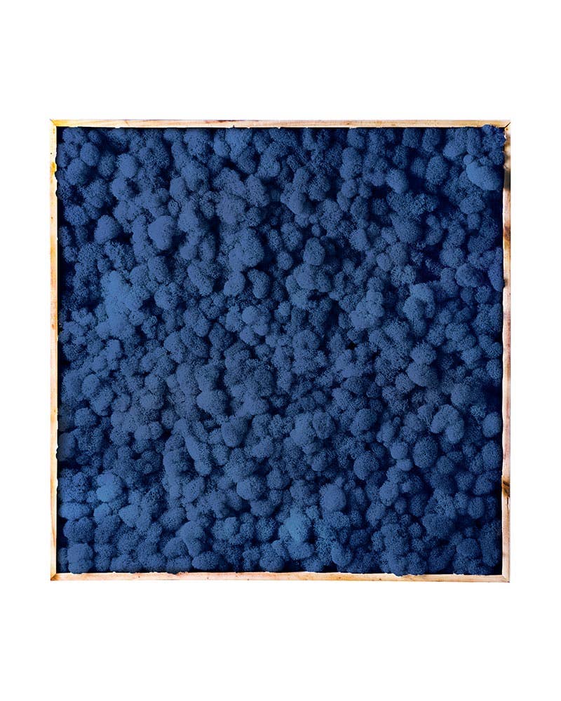 SuperMoss - Wholesale Wall Accent - Vertical Gardens - Reindeer Moss Walls13