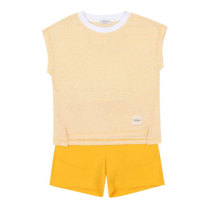 ToTo Heros - Wholesale Top & Short Set - Kids - Davin Striped T-Shirt & Solid Shorts Set10