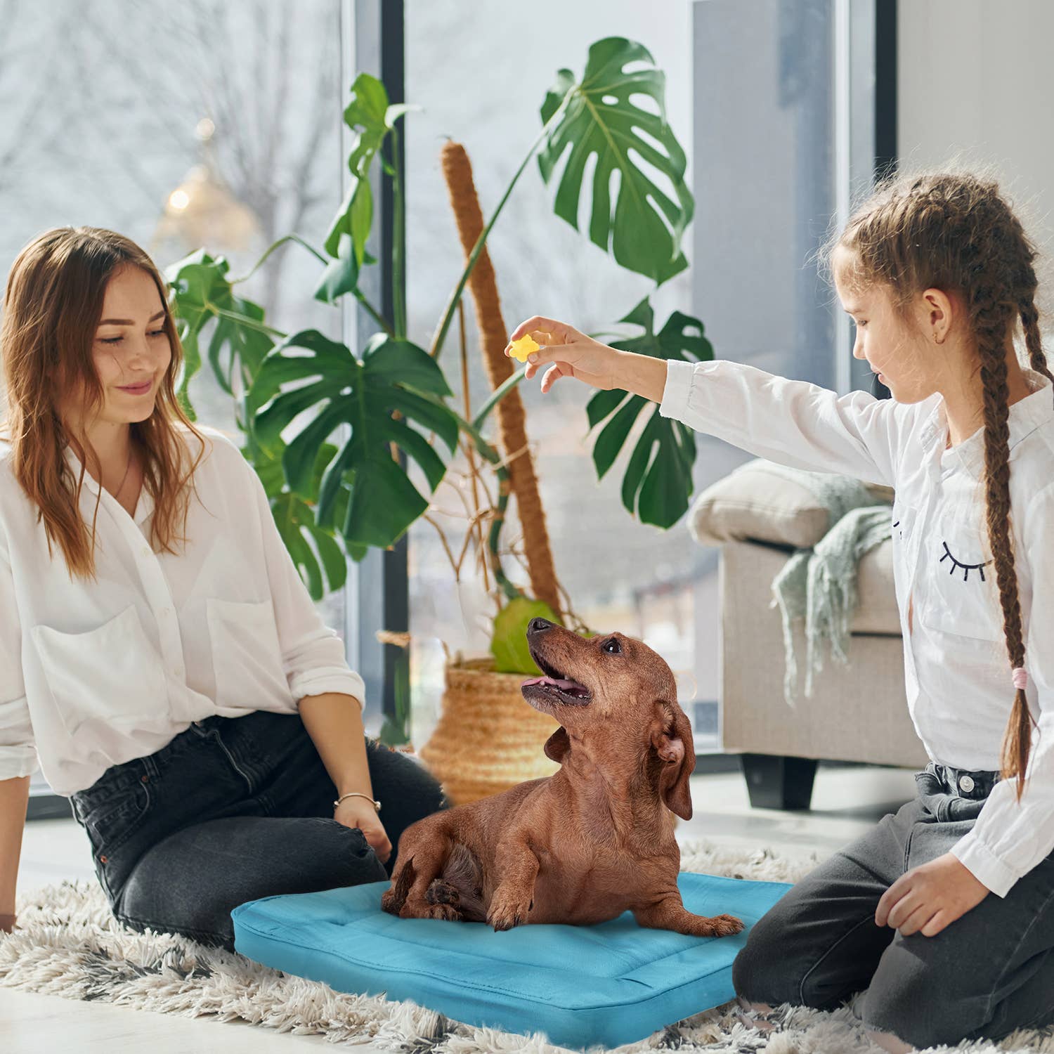 Precious Tails - Wholesale Pet Bed - Cat/Dog - Precious Tails Orthopedic Pet Bed Crate Mat11