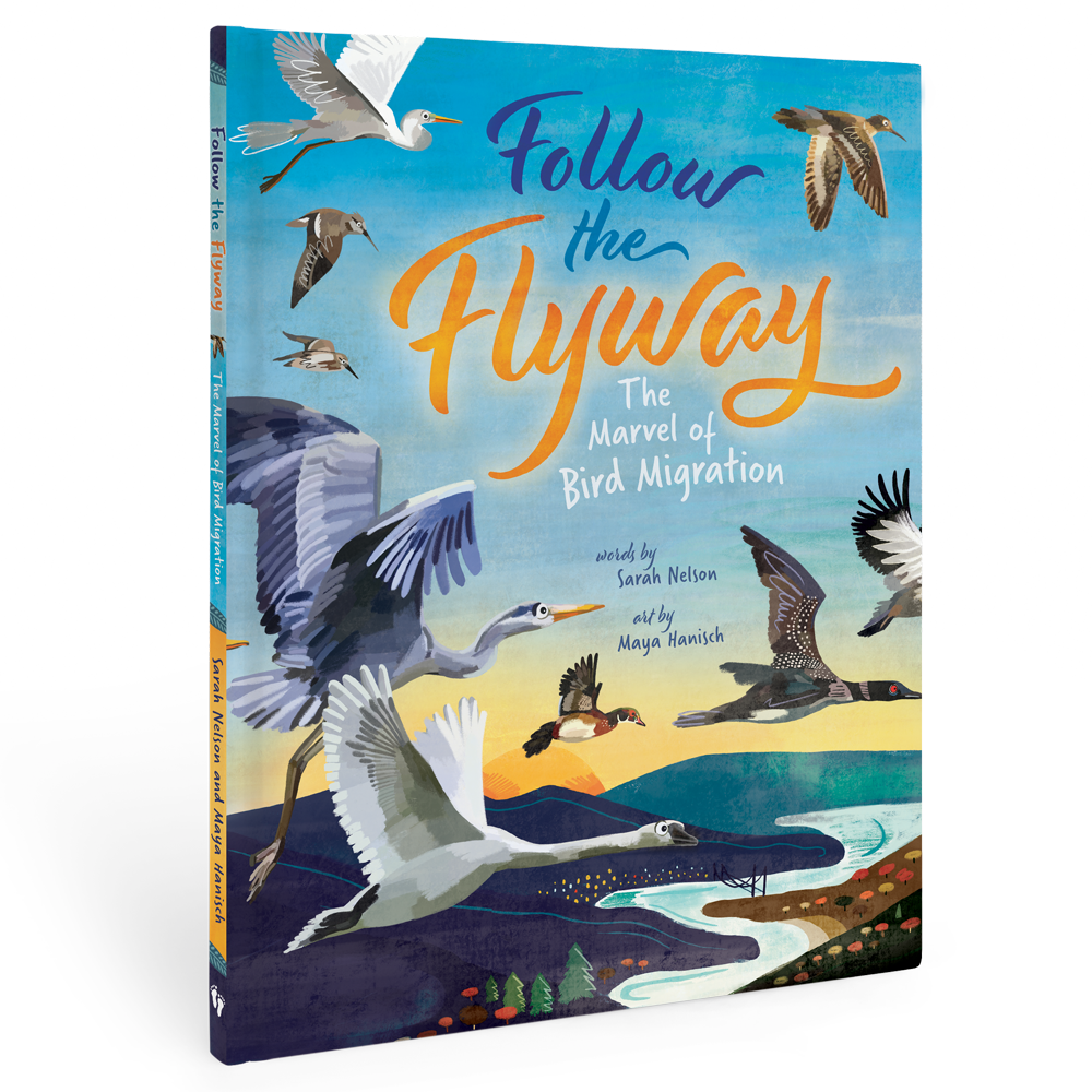 Barefoot Books - Wholesale Nature & Outdoors - Follow the Flyway0