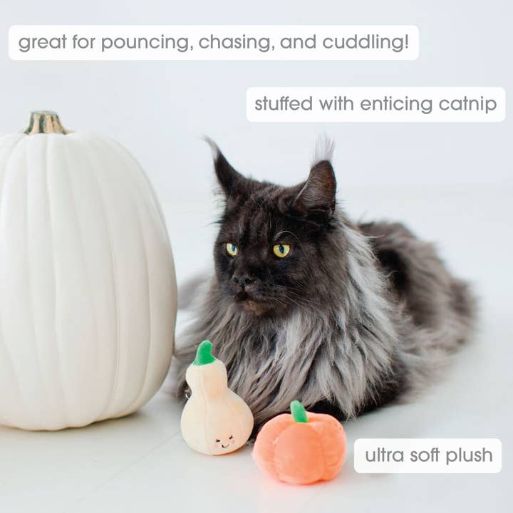 Pearhead - Wholesale Pet Toy Set - Cat - Gourds Fall Cat Toys, Set of 21