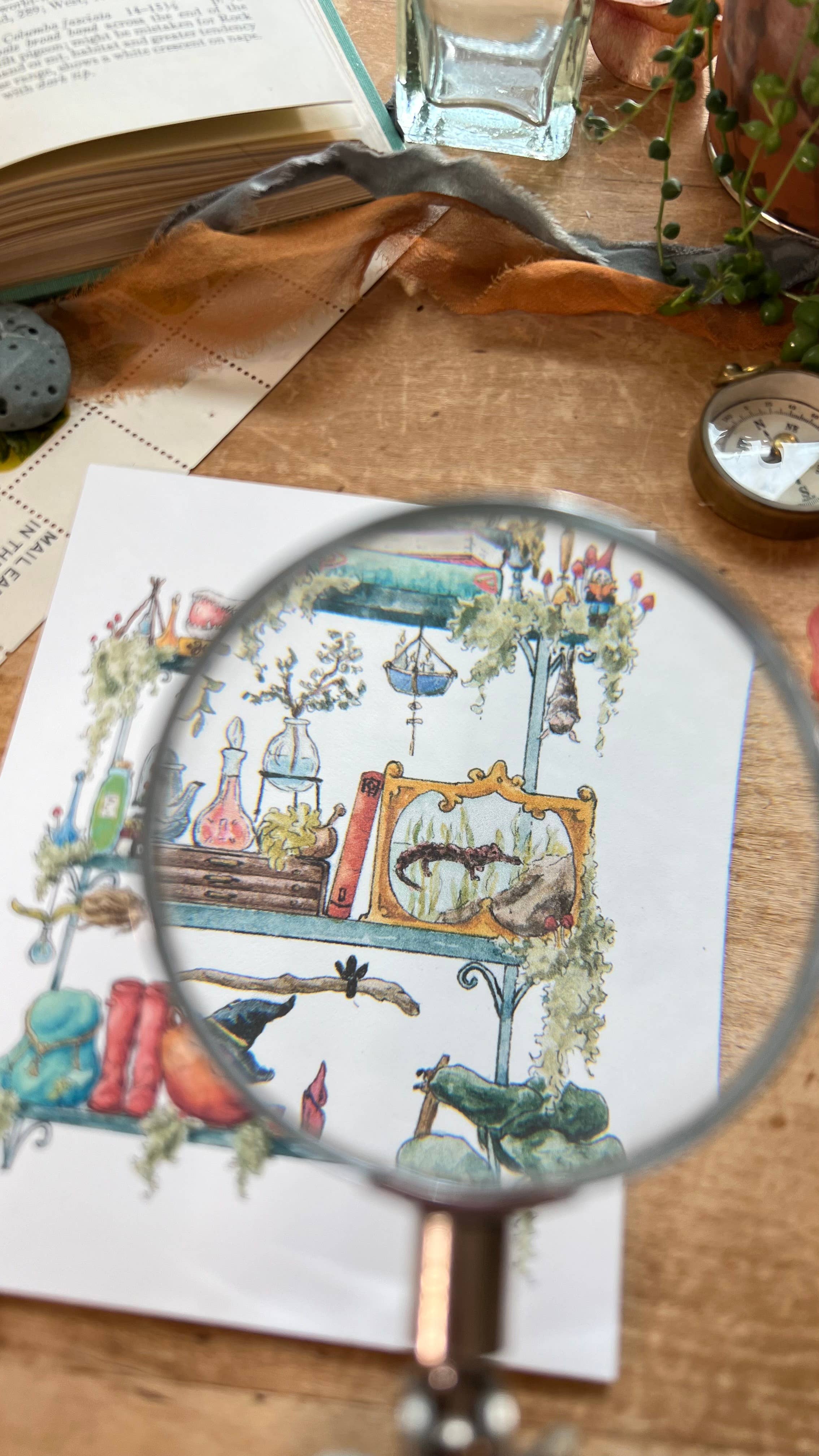 Lizzy Gass - Wholesale Postcard - The Swamp Witch's Shelves Postcard5