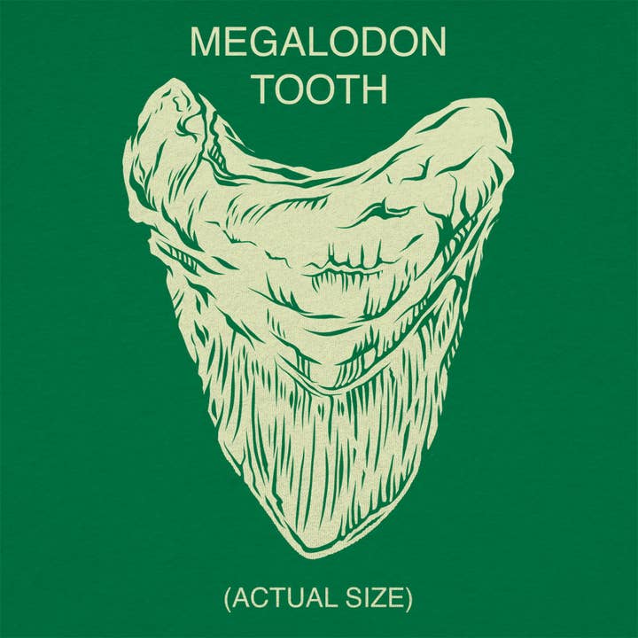 6DS - Vendita all'ingrosso Maglietta serigrafata - Uomo - Maglietta da uomo Megalodon Tooth2