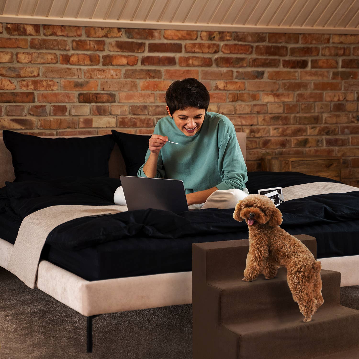 Precious Tails - Vente Escalier et rampe – chat et chien - Precious Tails Escalier pour animaux de compagnie en mousse haute densité 4 étapes6