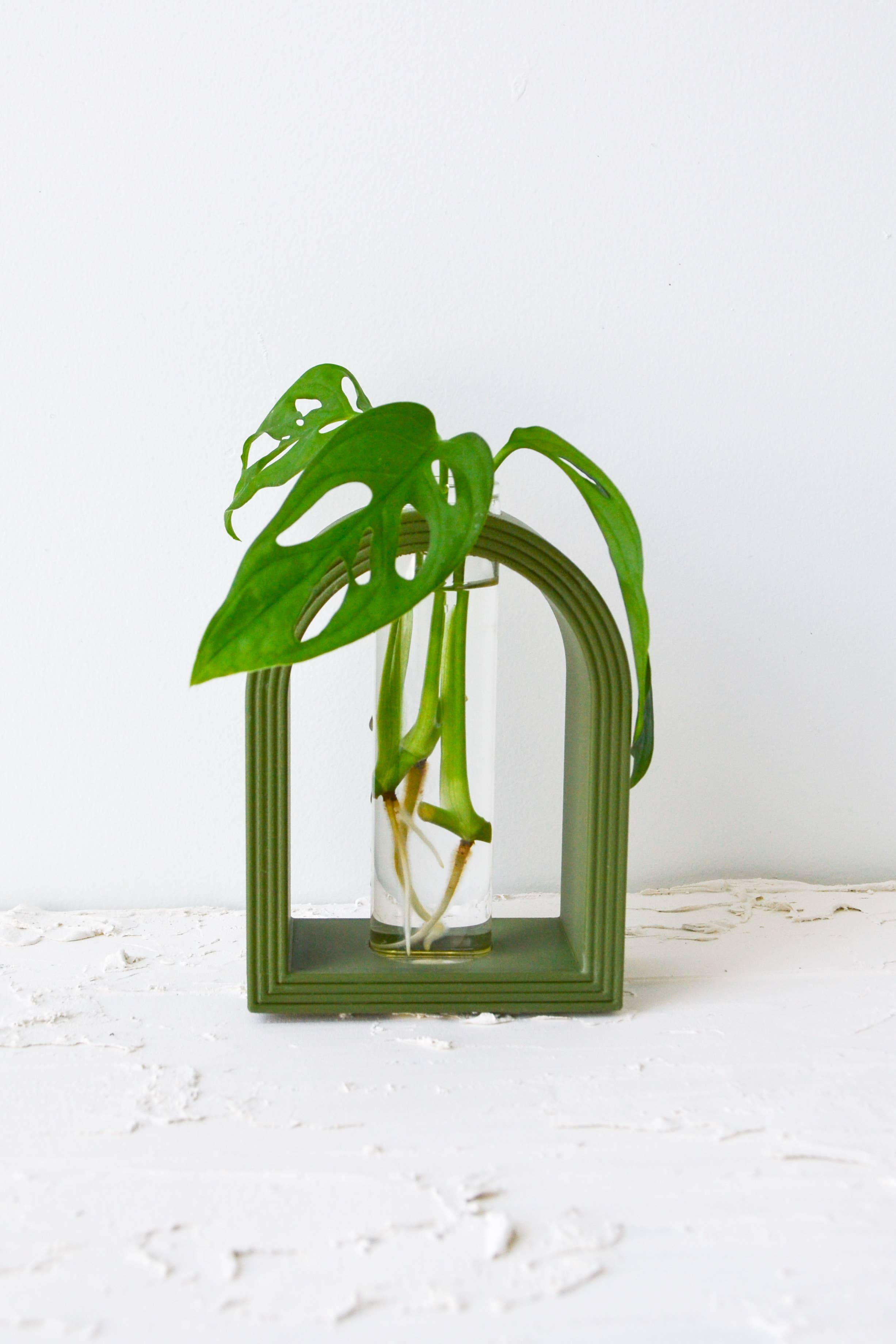 LindaMakess - Vendita all'ingrosso Vasi per piante - Supporti per Propagazione ad Arco Arcobaleno in Stampa 3D4