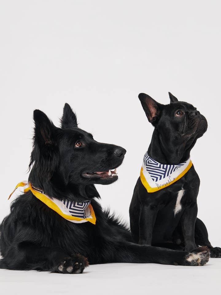 Ensemble bandana, foulard et chouchou pour chien en sergé de soie bleu marine pour la vente par Muso & Co