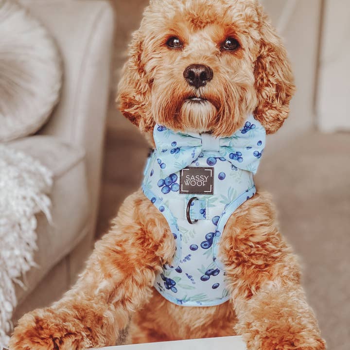 SASSY WOOF - Wholesale Pet Harness - Dog - Dog Adjustable Harness - Berry Sassy (Fruits)10