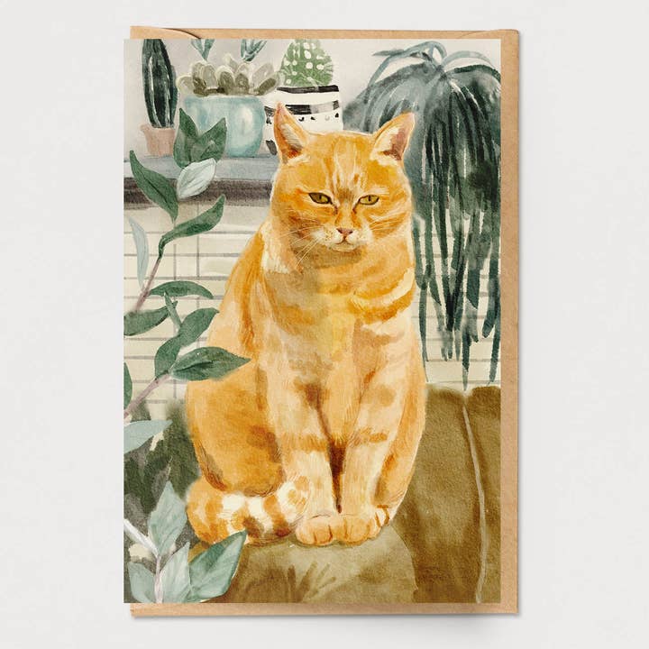 Tarjeta Orange Sofa Cat para venta al por mayor de Ingrid Press