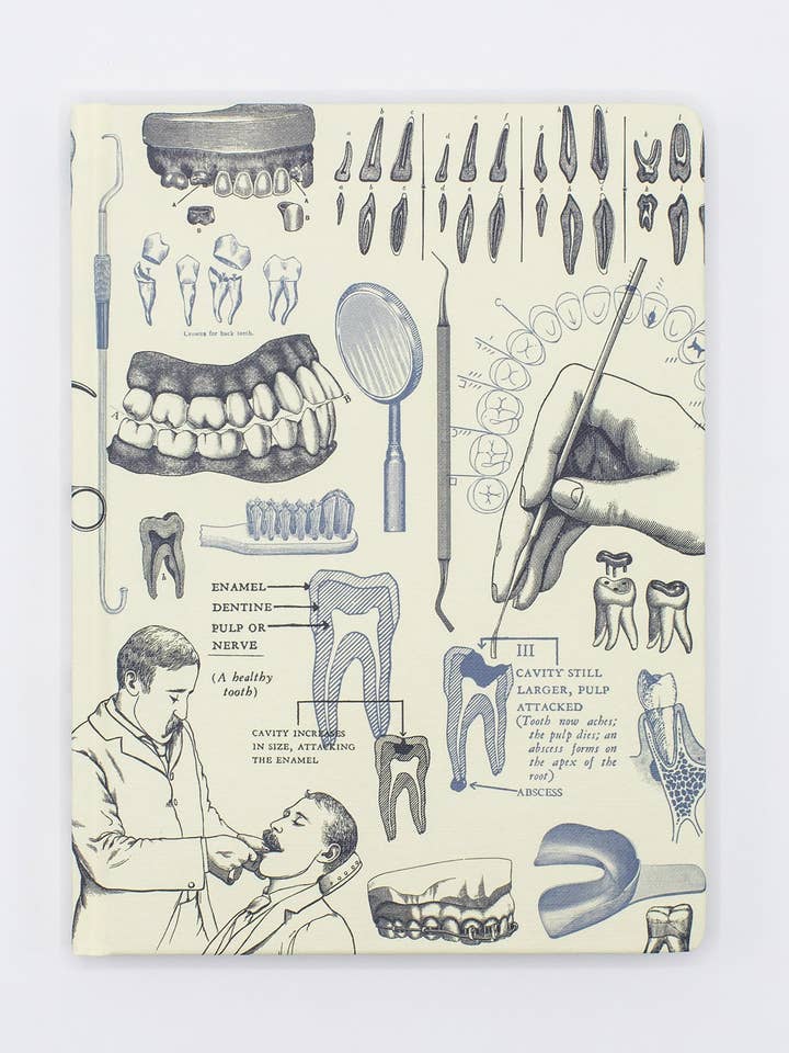 Odontología Tapa Dura - Cuaderno de Páginas de Cuadrícula de Puntos (Caja de 6) para venta al por mayor de Cognitive Surplus