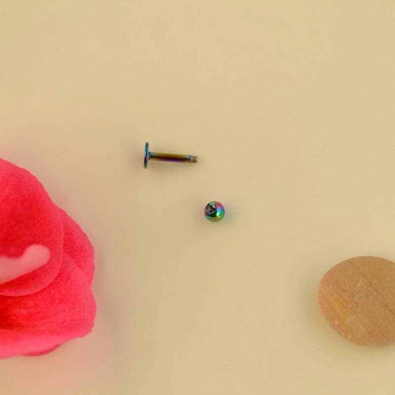 StockJWL - Venta al por mayor Pendientes de botón/aretes de poste - Pendientes de acero con cierre plano, piercing de concha, cartílago y más holograma dorado negro y color plata.10