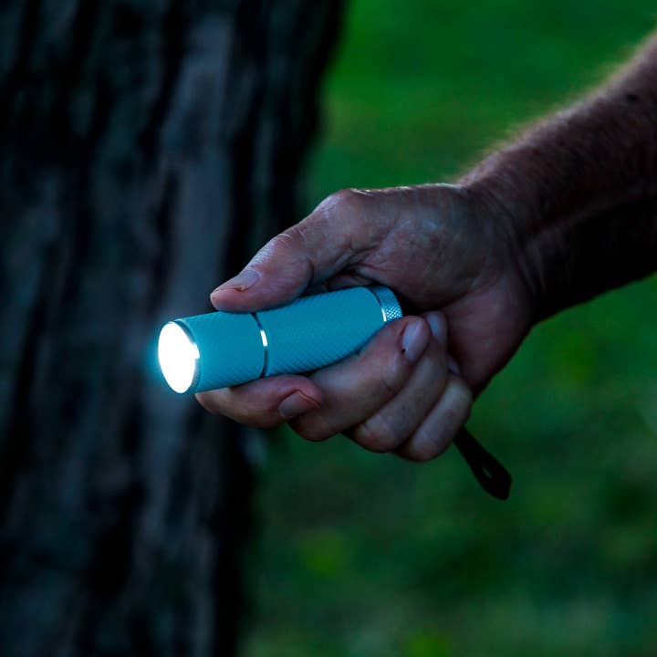 LitezAll - Wholesale Flashlight - LitezAll Glow In the Dark LED Pocket Flashlight with COB LED6