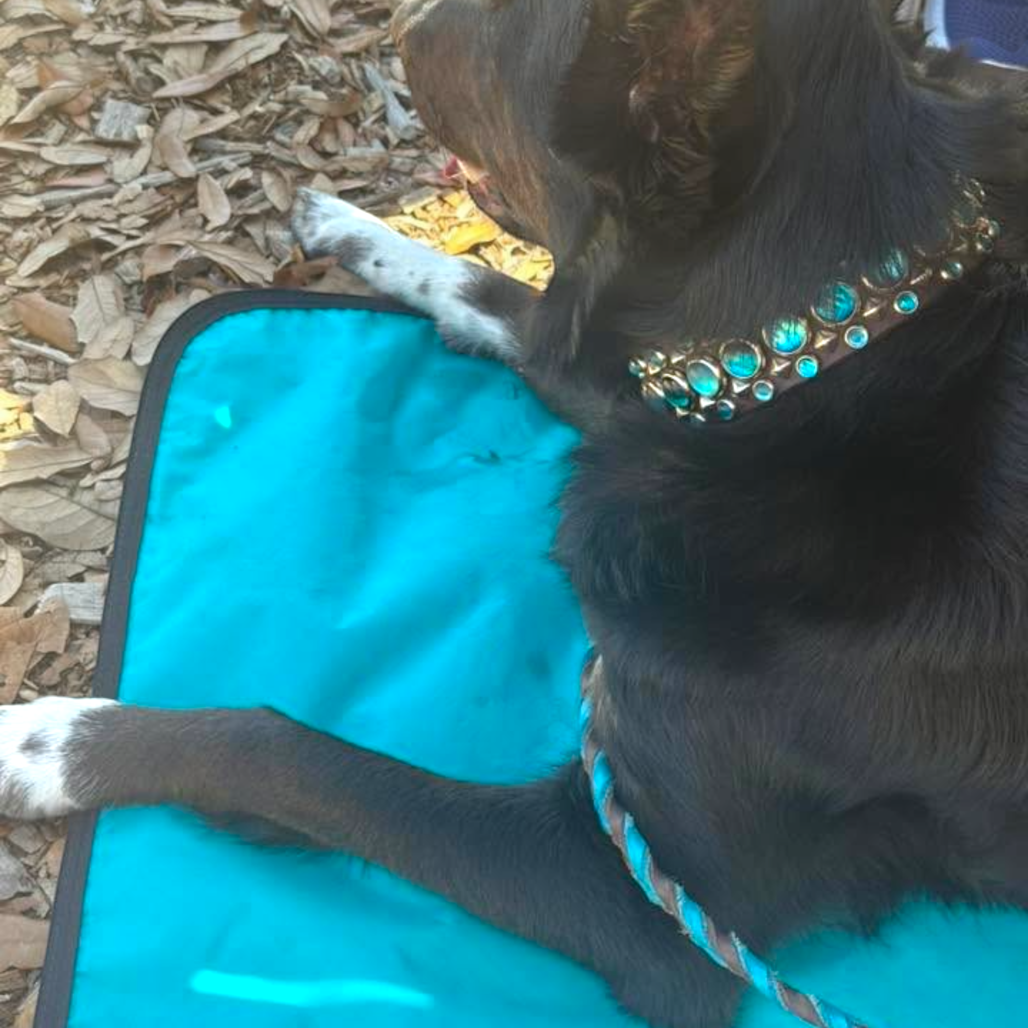 LUWELLO, LLC - Wholesale Pet Bed - Dog - Portable Dog Settle Mat9