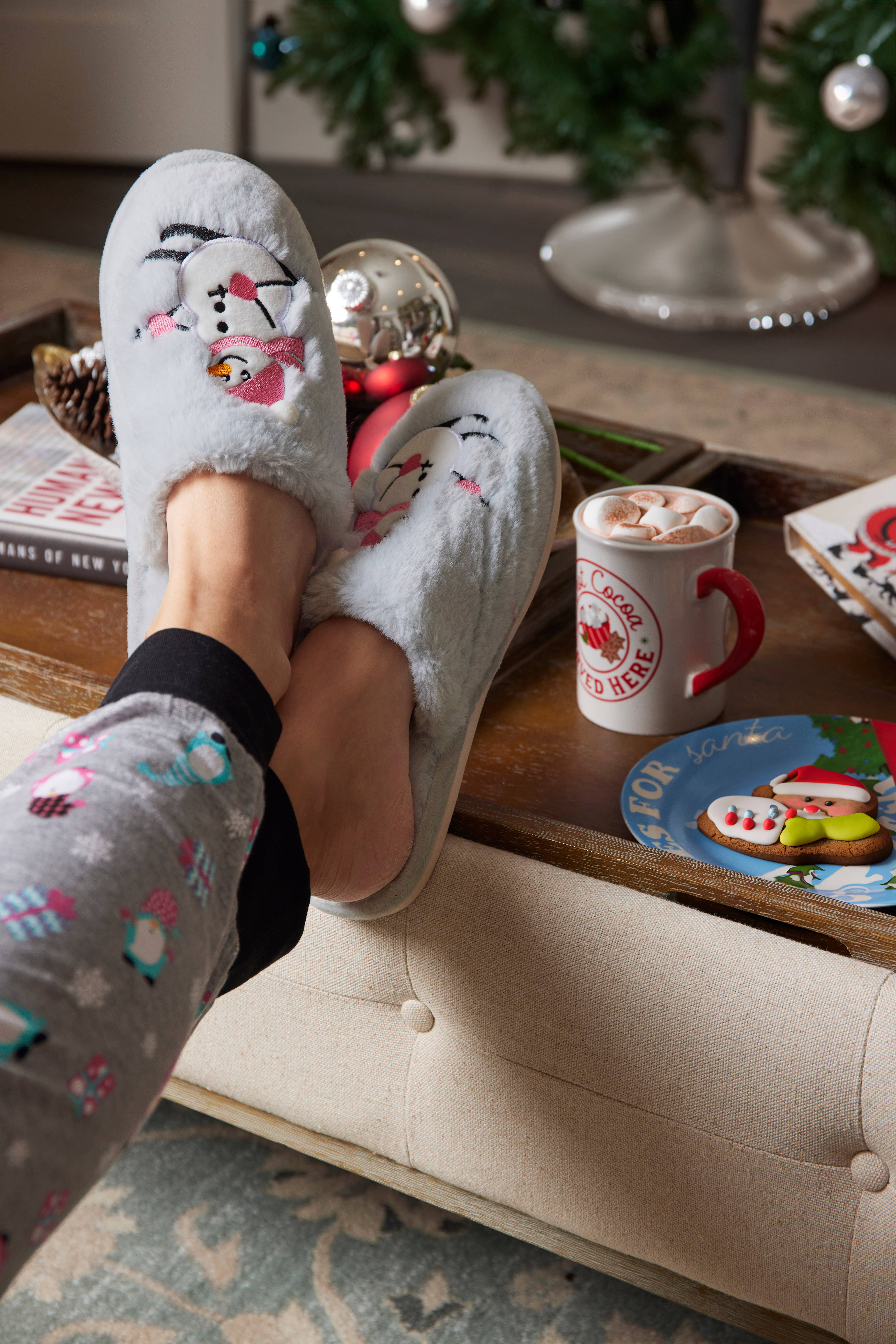 Light Blue Ski-Sons Plush Slipper for wholesale on Faire4