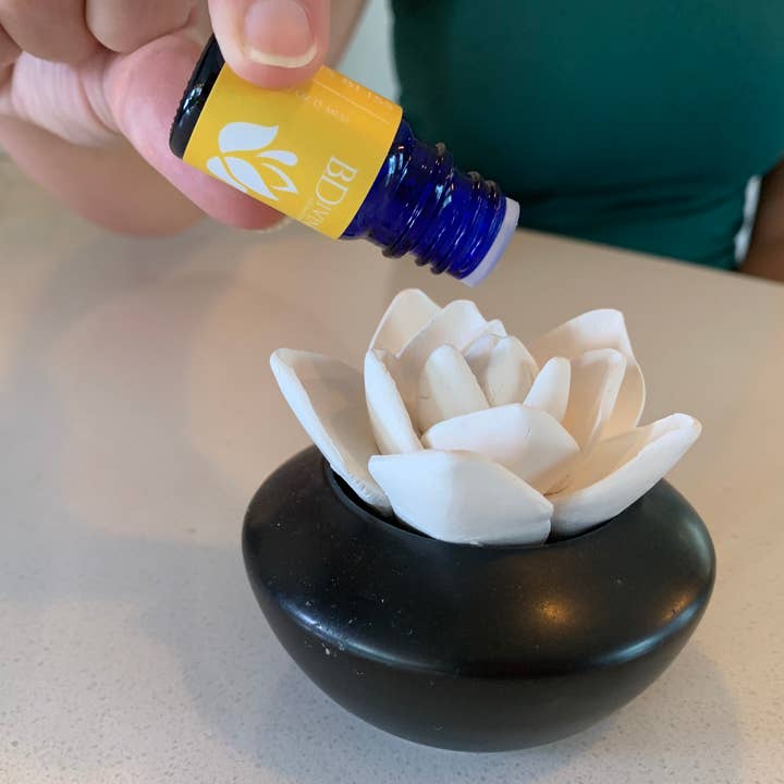 B. Divine Aromatherapy - Wholesale Essential oil - Citrus Bliss Essential Oil Diffuser Blend | 5ml1