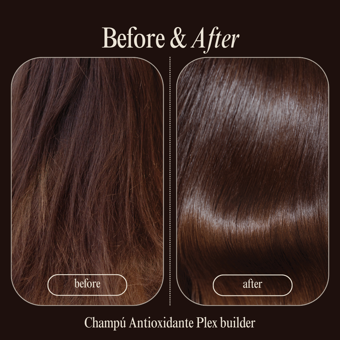 sesioMWorld - M·O·I Professional – wholesale Hårschampo – PLEX BUILDER schampo med växtprotein och pantenol 1L1