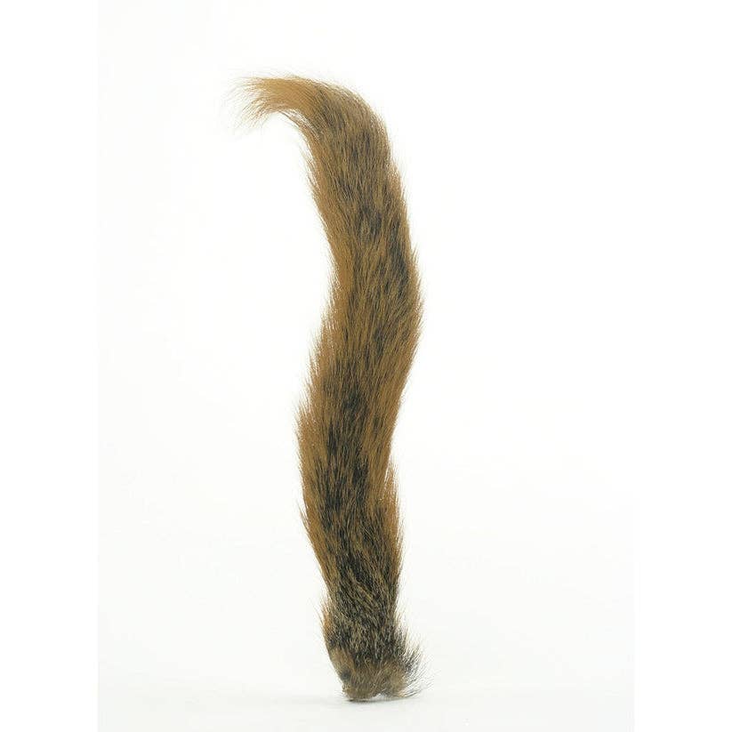 Zucker Feather Products - Wholesale Feathers - Squirrel Tails; Whole Tails - Natural Red0