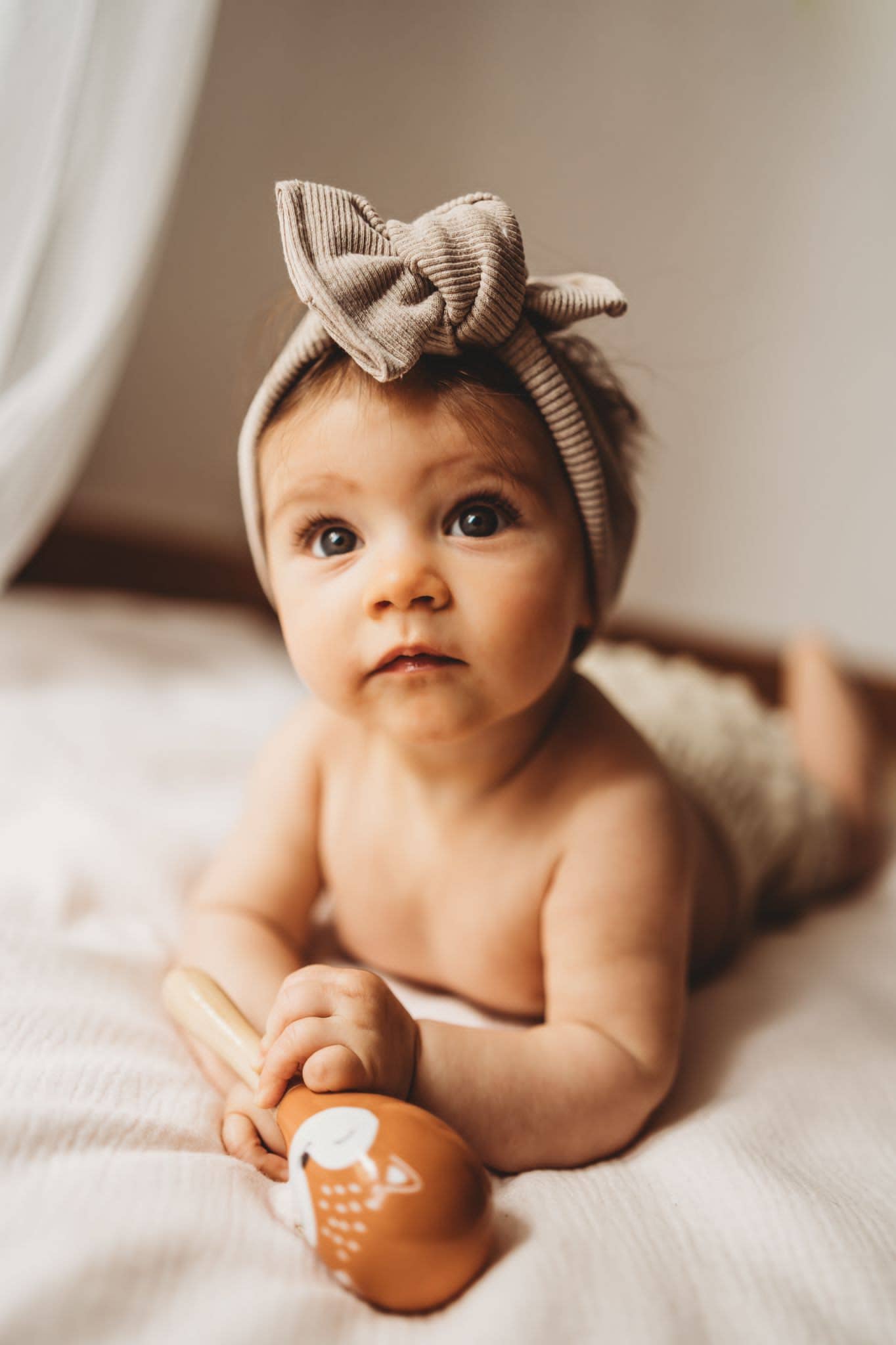 Babylissima - Wholesale Hair Bow - Kids - Fascette Babylissime1