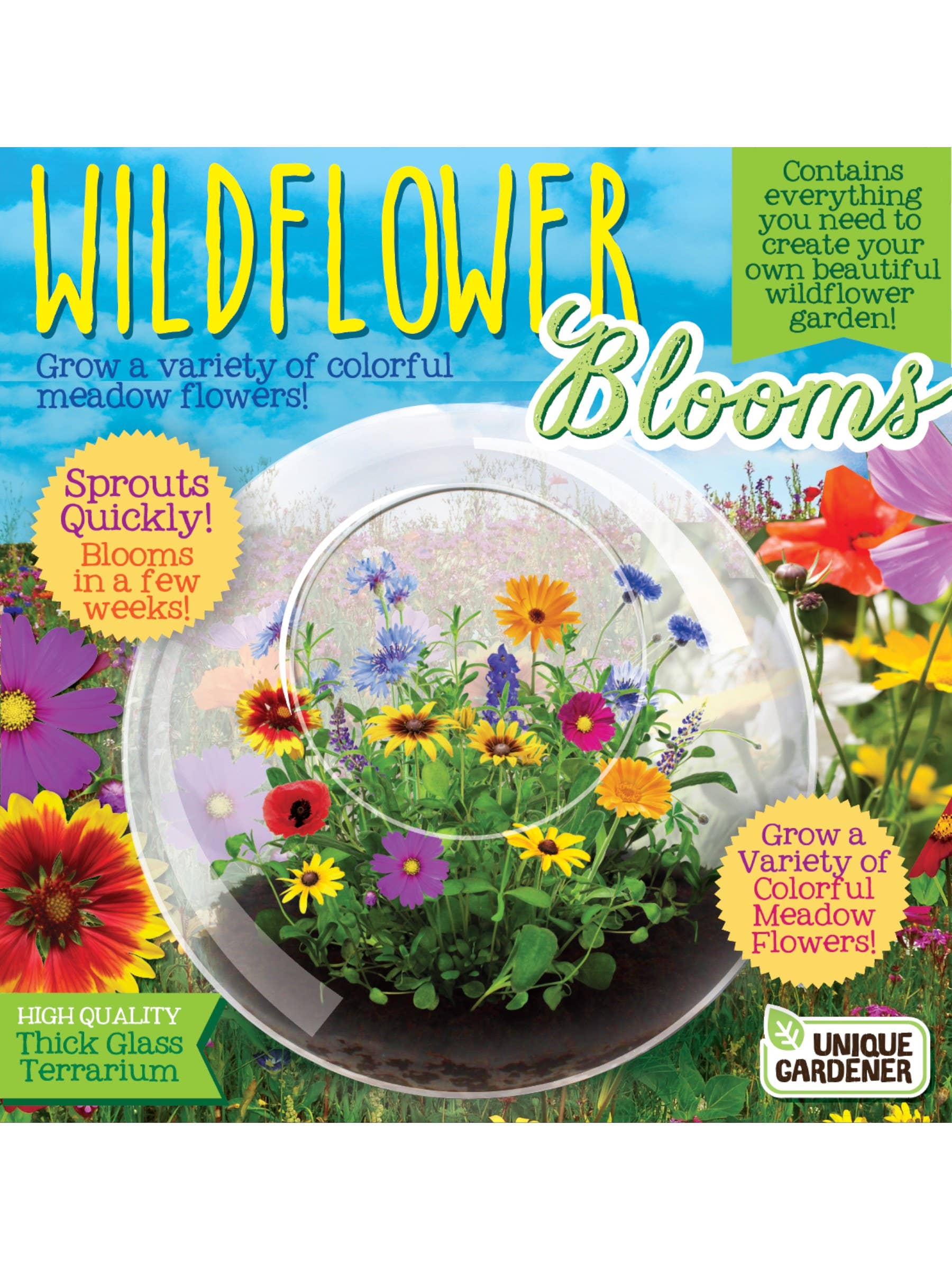 Silver Circle Products - Vente Terrariums - Terrarium en verre Wildflowers0