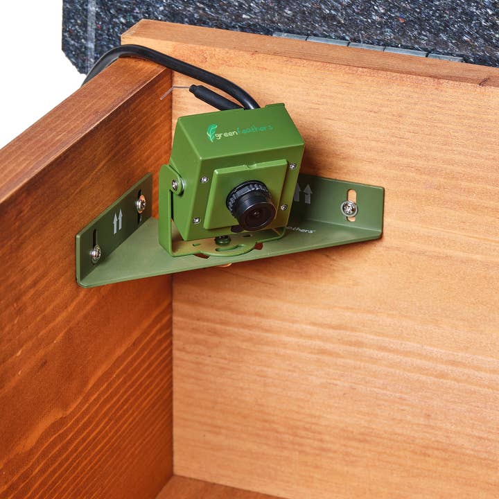 Green Feathers – wholesale Bird house – Handmade Wooden Hedgehog House6